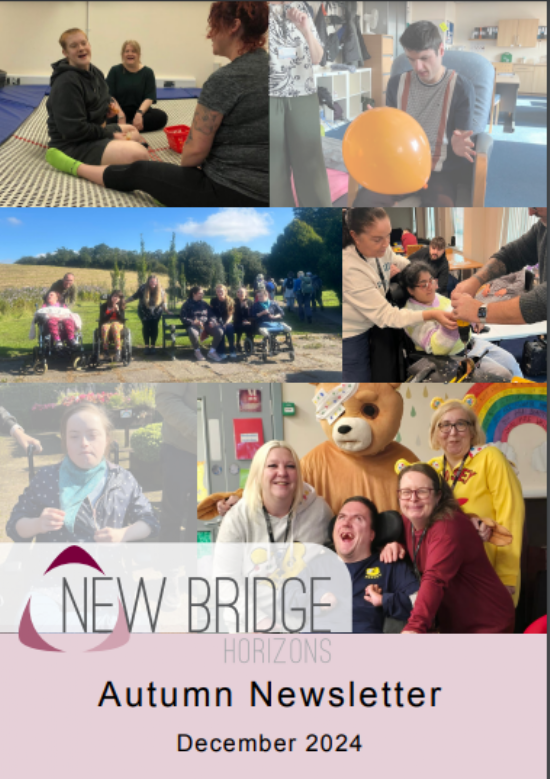 New Bridge Horizons - Autumn Newsletter (December 2024)