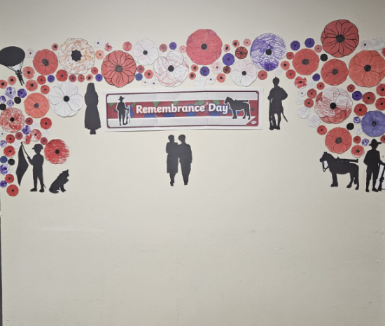 Turf Lane Update - 10.11.25